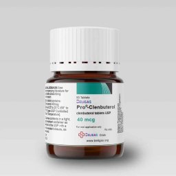 Pro-Clenbuterol 40 mcg