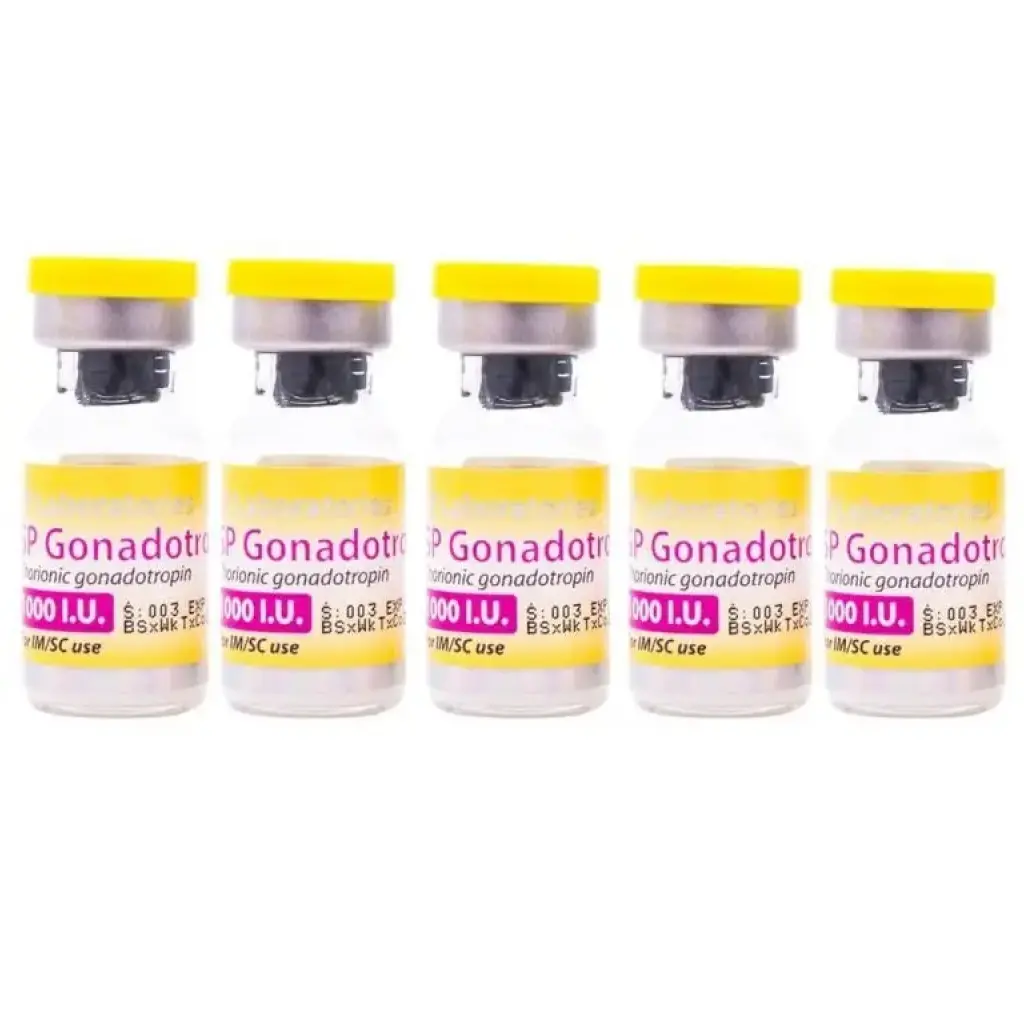 SP Gonadotropin 1000iu SP Gonadotropin 1000iu