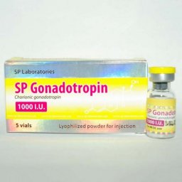 SP Gonadotropin 1000iu