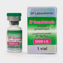 SP Gonadotropin 5000iu