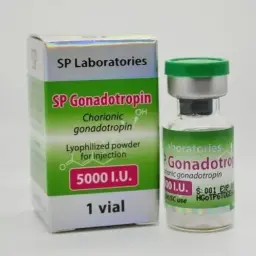 SP Gonadotropin 5000iu