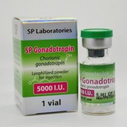 SP Gonadotropin 5000iu