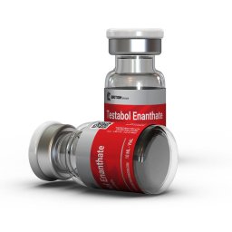 Testabol Enanthate - Testosterone Enanthate - British Dragon Pharmaceuticals Testabol Enanthate - Testosterone Enanthate - British Dragon Pharmaceuticals