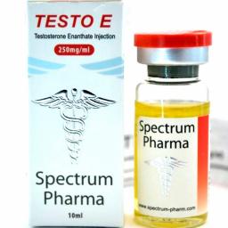 Testo E 250 - Testosterone Enanthate - Spectrum Pharma