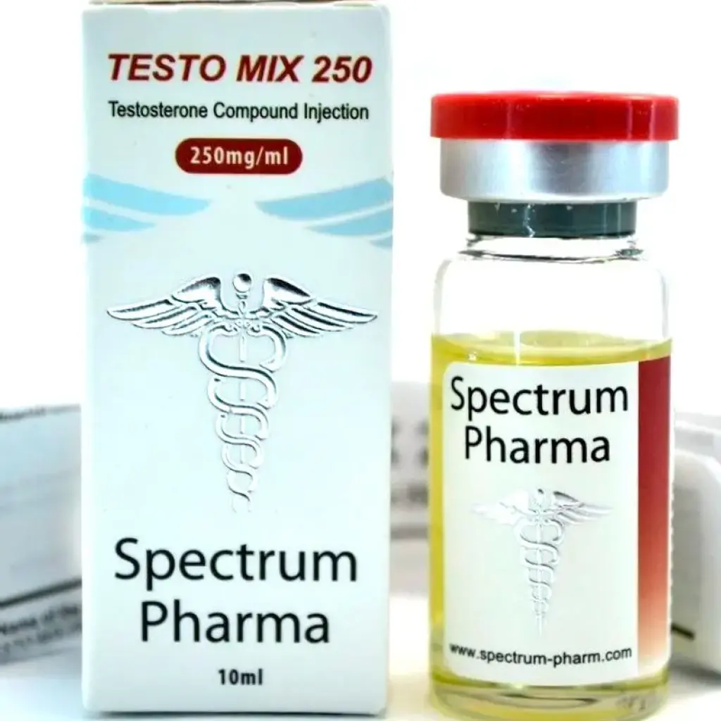 Testo Mix 250 Testo Mix 250