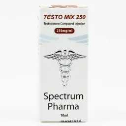 Testo Mix 250