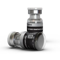 Testodex Enanthate 250 - Testosterone Enanthate - Sciroxx Testodex Enanthate 250 - Testosterone Enanthate - Sciroxx