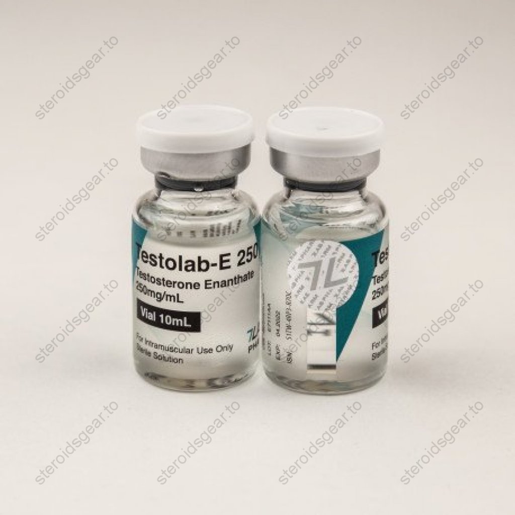 Testolab-E250 Testolab-E250