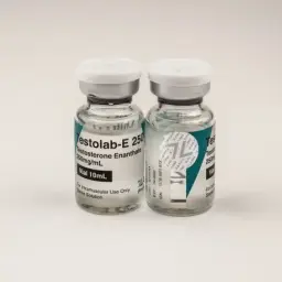 Testolab-E250
