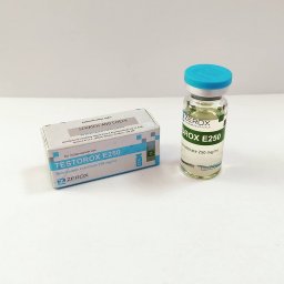 Testorox E 250 - Testosterone Enanthate - Zerox Pharmaceuticals Testorox E 250 - Testosterone Enanthate - Zerox Pharmaceuticals