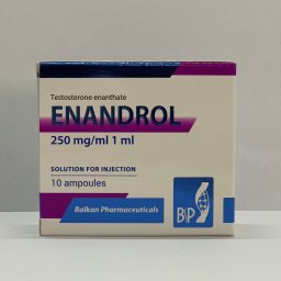 Testosterona E - Enandrol