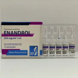 Testosterona E - Enandrol