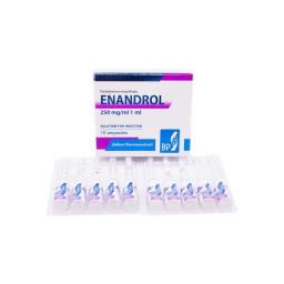 Testosterona E - Enandrol