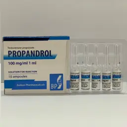 Testosterona P - Propandrol