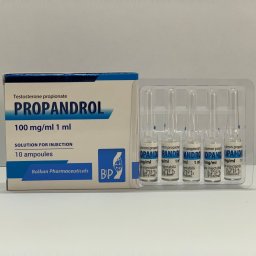 Testosterona P - Propandrol