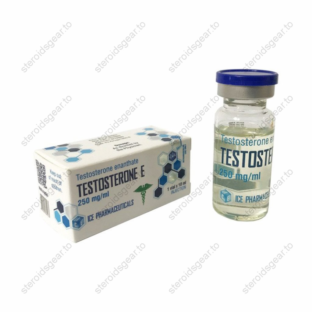 Testosterone E 10ml Testosterone E 10ml