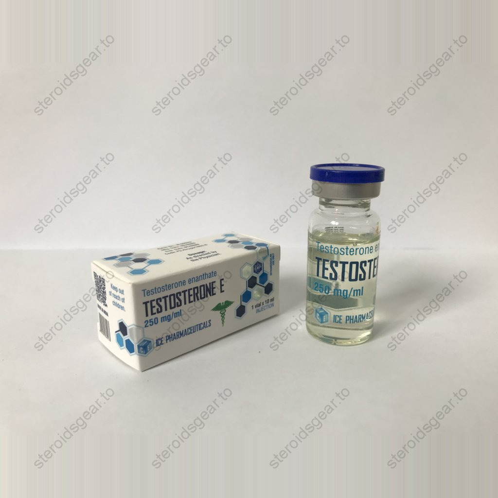 Testosterone E 10ml Testosterone E 10ml