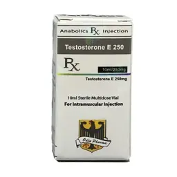 Testosterone E 250