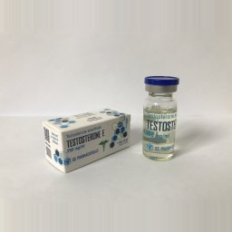 Testosterone E 10ml - Testosterone Enanthate - Ice Pharmaceuticals Testosterone E 10ml - Testosterone Enanthate - Ice Pharmaceuticals