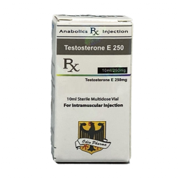 Testosterone E 250