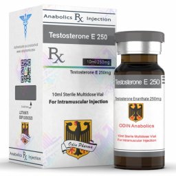 Testosterone E 250 - Testosterone Enanthate - Odin Pharma Testosterone E 250 - Testosterone Enanthate - Odin Pharma