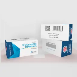 Testosterone Enanthate (10ml)
