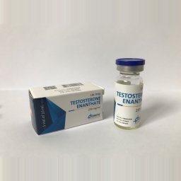 Testosterone Enanthate (10ml) - Testosterone Enanthate - Genetic Pharmaceuticals Testosterone Enanthate (10ml) - Testosterone Enanthate - Genetic Pharmaceuticals