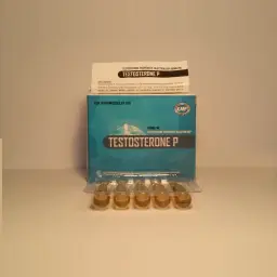 Testosterone P (Ice)
