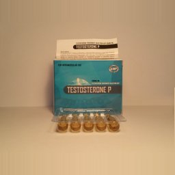 Testosterone P (Ice)