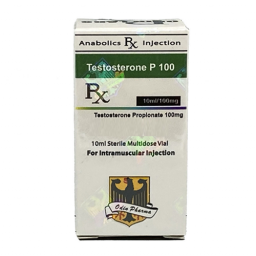 Testosterone P100