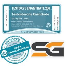 Testoxyl Enanthate 250