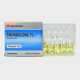 SP Trenbolone 75 1ml - Trenbolone Acetate - SP Laboratories SP Trenbolone 75 1ml - Trenbolone Acetate - SP Laboratories