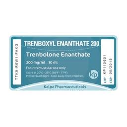 Trenboxyl Enanthate 200