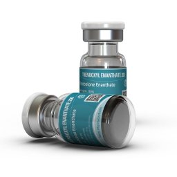Trenboxyl Enanthate 200 - Trenbolone Enanthate - Kalpa Pharmaceuticals LTD, India Trenboxyl Enanthate 200 - Trenbolone Enanthate - Kalpa Pharmaceuticals LTD, India