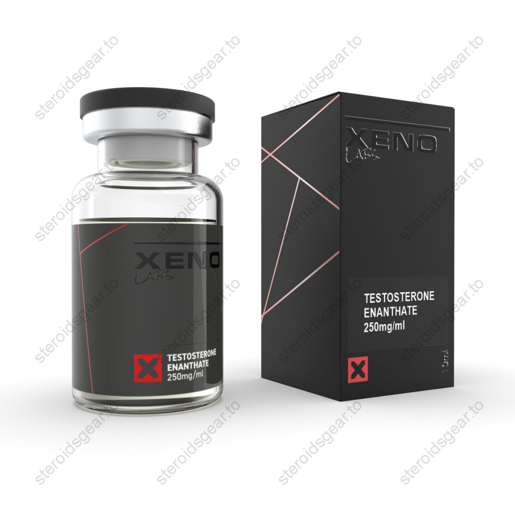 Xeno Test E 250 Xeno Test E 250