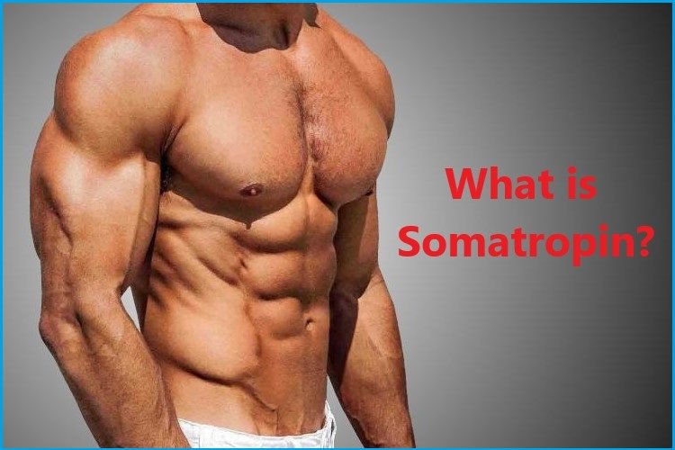 What is Somatropin?