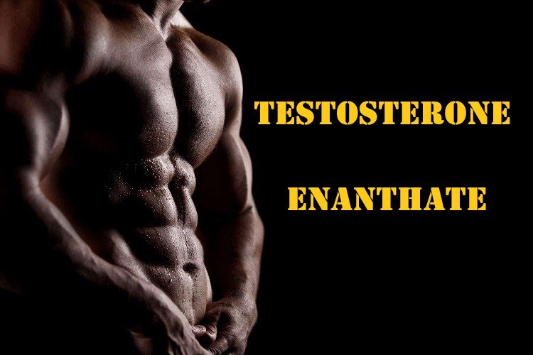 Testosterone Enanthate Steroids