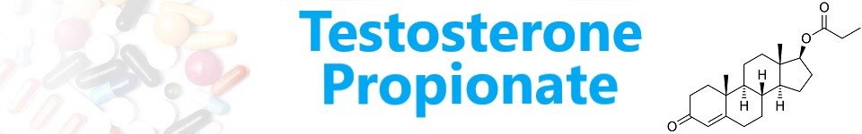 Testosterone Propionate Steroids