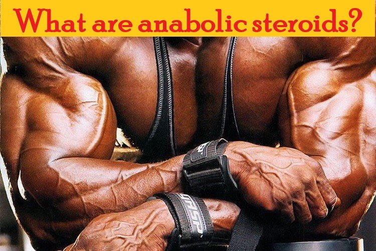 What are anabolic steroids