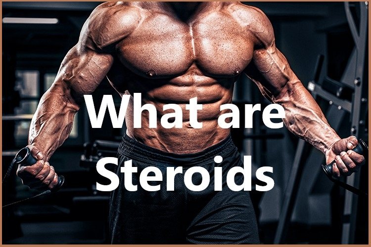 What are Steroids