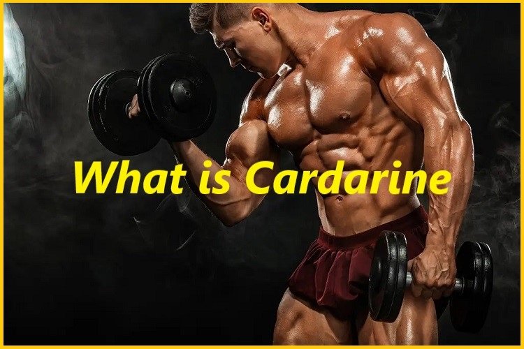 What is Cardarine