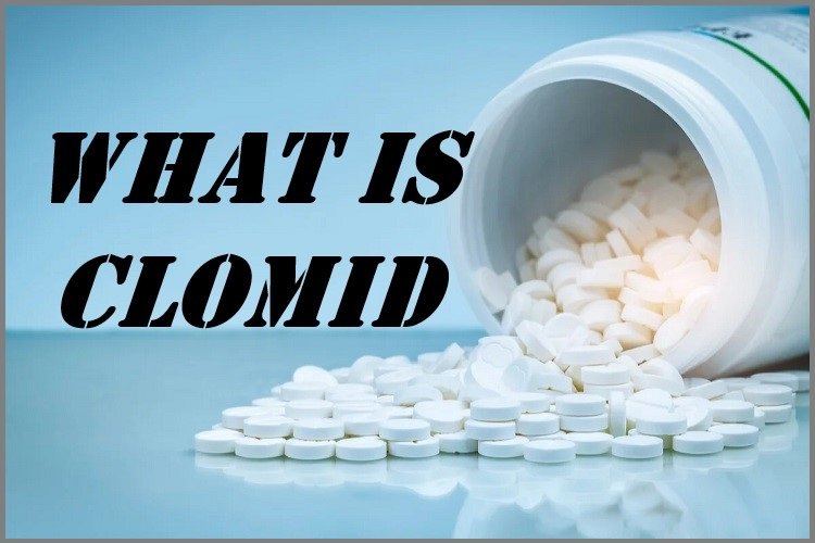 What is Clomid