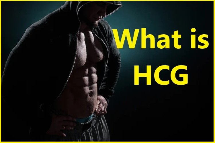 What is HCG?