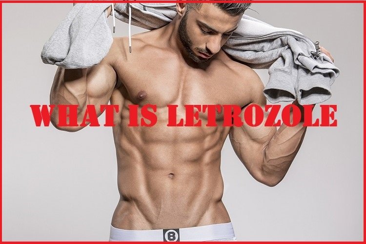 What is Letrozole?
