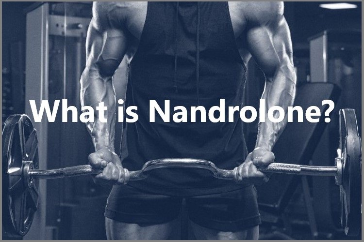 What is Nandrolone?