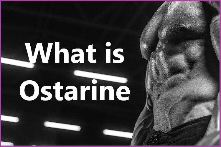 What is Ostarine?