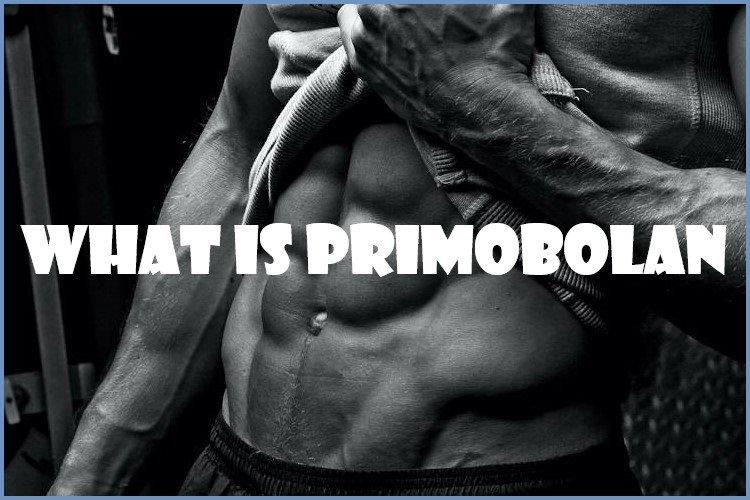 What is Primobolan?