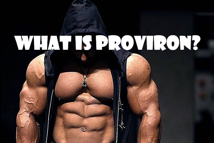 What is Proviron?