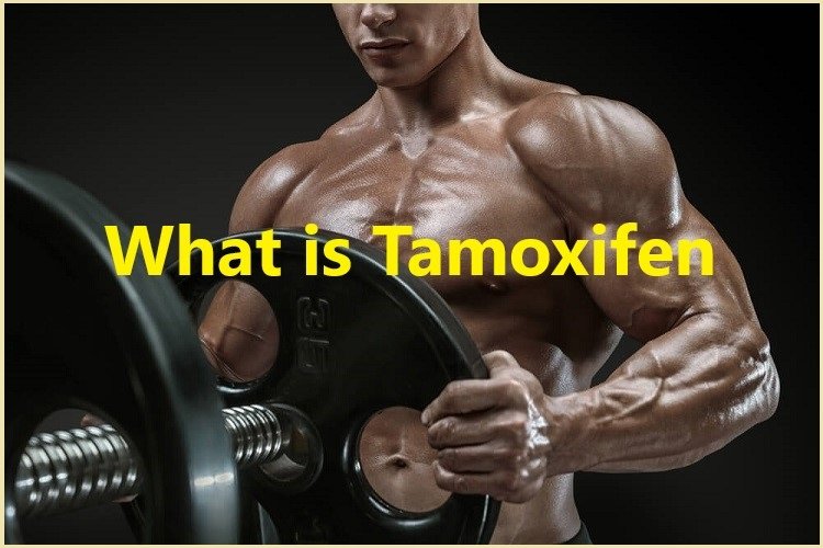 What is Tamoxifen