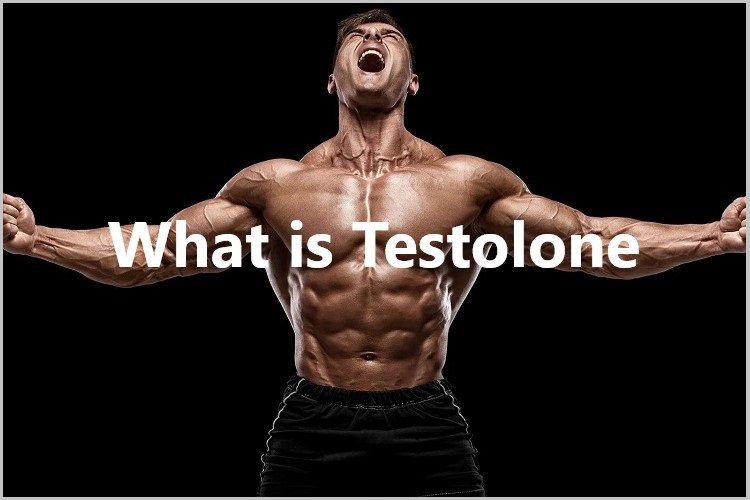 What is Testolone?